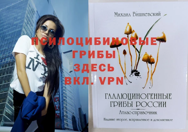 не бодяженный Няндома
