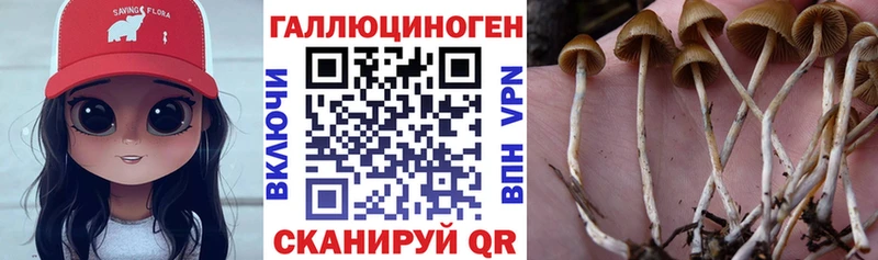 Псилоцибиновые грибы прущие грибы  Кириллов 